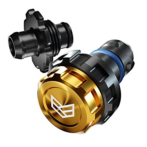 Best Oil for Mustang Ecoboost