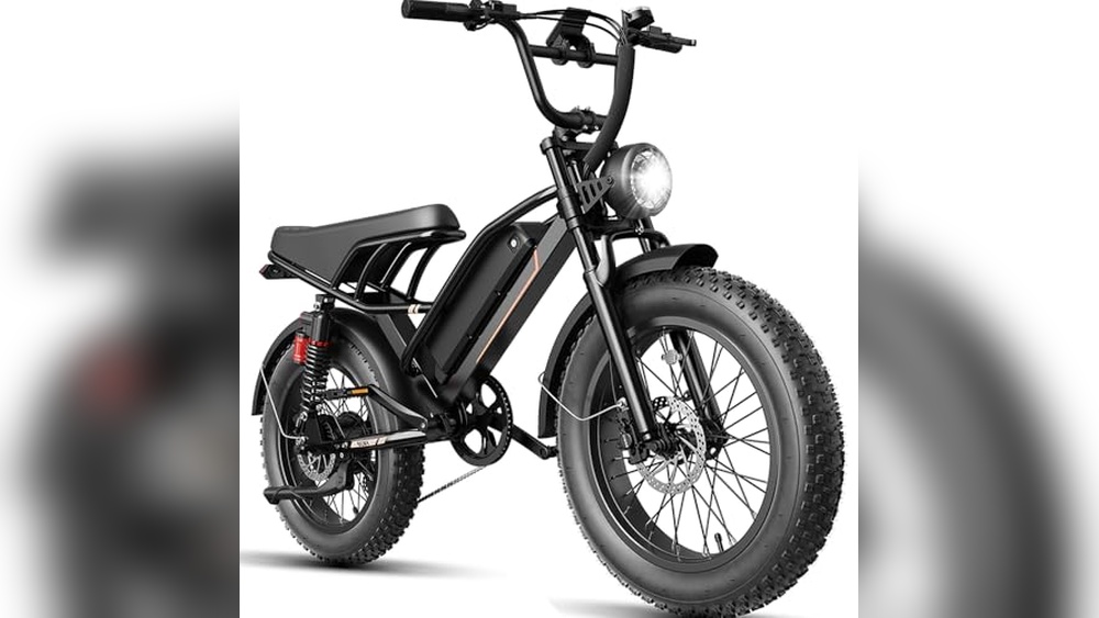 Best Fat Tire E-Bike